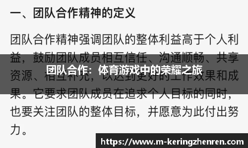 团队合作：体育游戏中的荣耀之旅